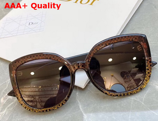 Dior CD Round Sunglasses in Brown Replica