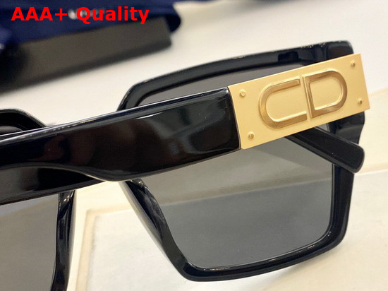 Dior CD Sunglasses Leopard Detail Replica