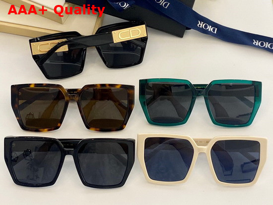 Dior CD Sunglasses Leopard Detail Replica