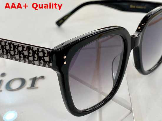 Dior Round Sunglasses with Dior Oblique Motif Replica