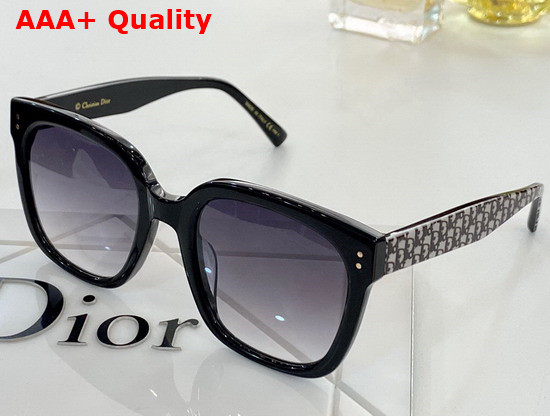 Dior Round Sunglasses with Dior Oblique Motif Replica