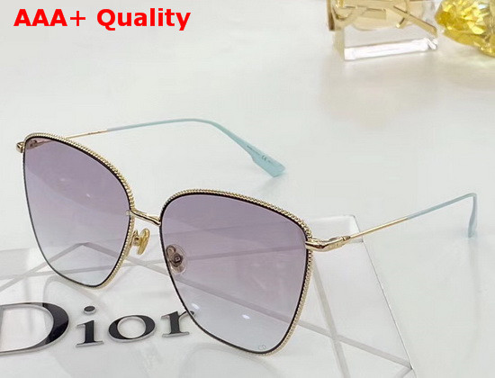 DiorSociety2F Brown to Pink Shaded Butterfly Sunglasses Replica