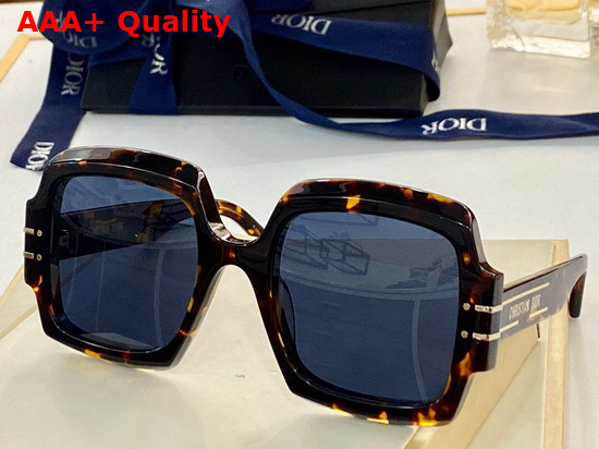 Diorsignature S1U Black Square Sunglasses Replica