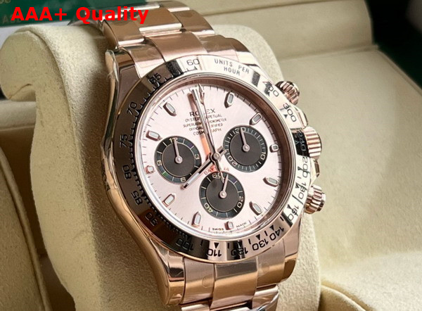 Rolex Cosmograph Daytona Oyster 40mm Everose Gold Rose Gold Dial Replica