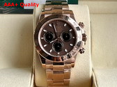 Rolex Cosmograph Daytona Oyster 40mm Everose Gold and Chocolate Dial Replica