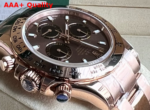 Rolex Cosmograph Daytona Oyster 40mm Everose Gold and Chocolate Dial Replica