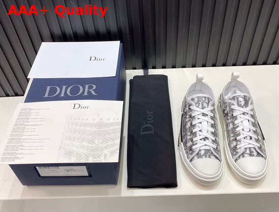 Christian Dior Oblique Technical Canvas B23 Sneaker Replica