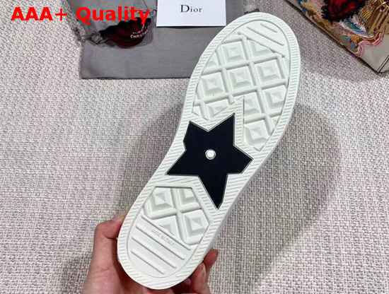 Christian Dior Woman Low Top Sneaker in Embroidered Canvas Replica