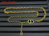 Dior 30 Montaigne Chain Belt Gold Finish Metal Replica