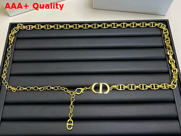 Dior 30 Montaigne Chain Belt Gold Finish Metal Replica