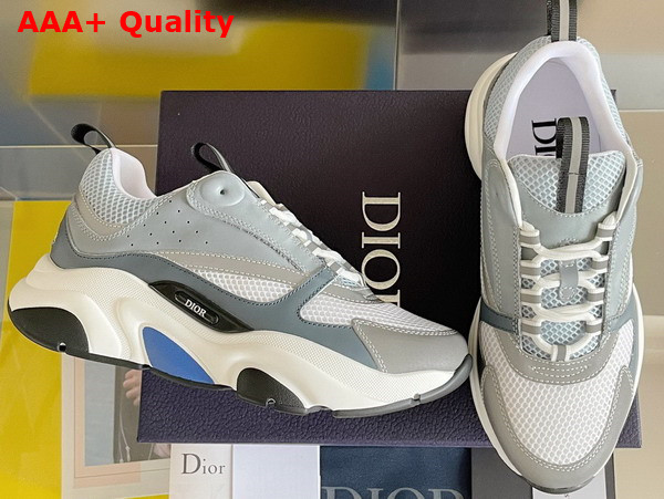 Dior B22 Sneaker White and Blue Technical Mesh and Gray Calfskin Replica