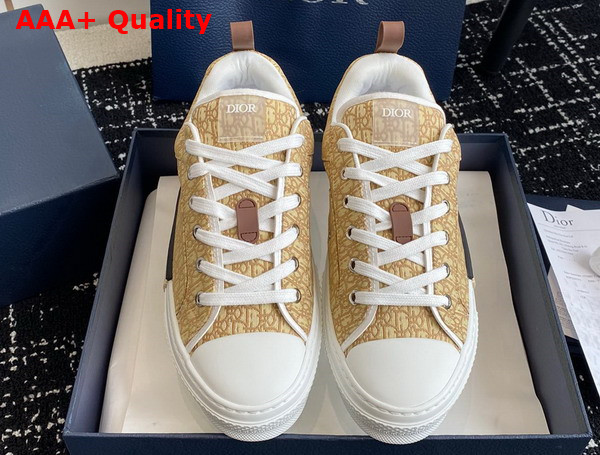 Dior B23 Skater Sneaker Beige Dior Oblique Jacquard Replica