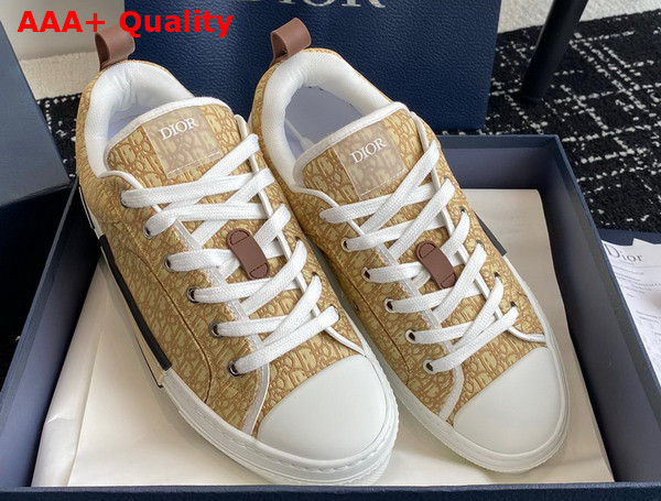 Dior B23 Skater Sneaker Beige Dior Oblique Jacquard Replica