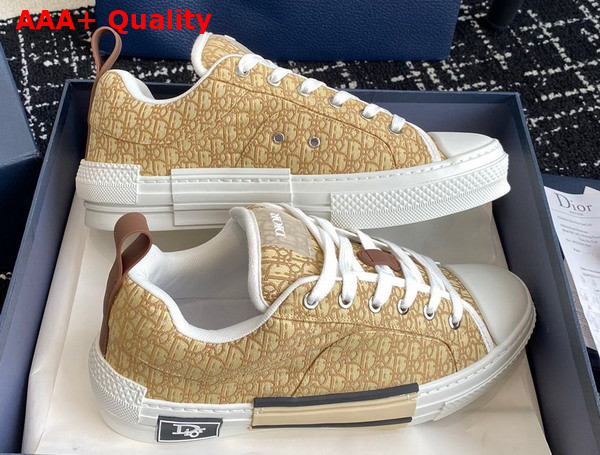 Dior B23 Skater Sneaker Beige Dior Oblique Jacquard Replica