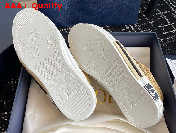 Dior B23 Skater Sneaker Beige Dior Oblique Jacquard Replica