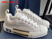 Dior B23 Skater Sneaker Cream Dior Oblique Jacquard Replica