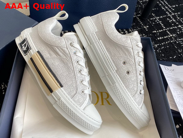 Dior B23 Skater Sneaker Cream Dior Oblique Jacquard Replica