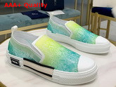 Dior B23 Slip On Sneaker Green Dior and Shawn Jacquard Mesh Replica