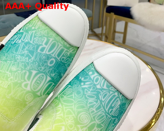 Dior B23 Slip On Sneaker Green Dior and Shawn Jacquard Mesh Replica