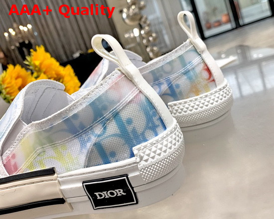 Dior B23 Slip On Sneaker Multicolor Dior and Shawn Jacquard Mesh Replica