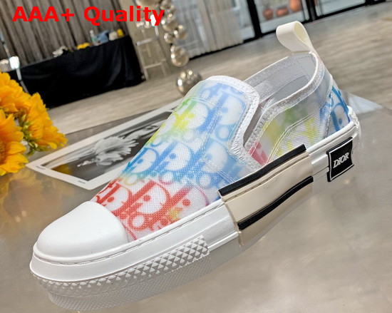 Dior B23 Slip On Sneaker Multicolor Dior and Shawn Jacquard Mesh Replica