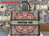 Dior Book Tote Multicolor Dior in Lights Embroidery Replica