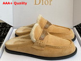 Dior Boy Mule in Beige Suede Goatskin Replica