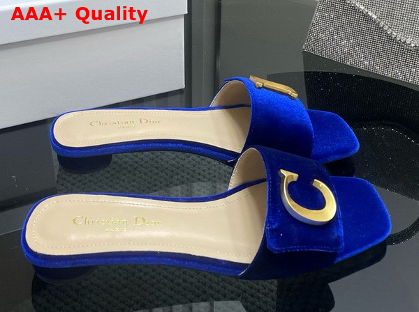 Dior Cest Dior Slide in Blue Velvet Replica