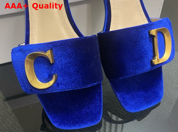 Dior Cest Dior Slide in Blue Velvet Replica