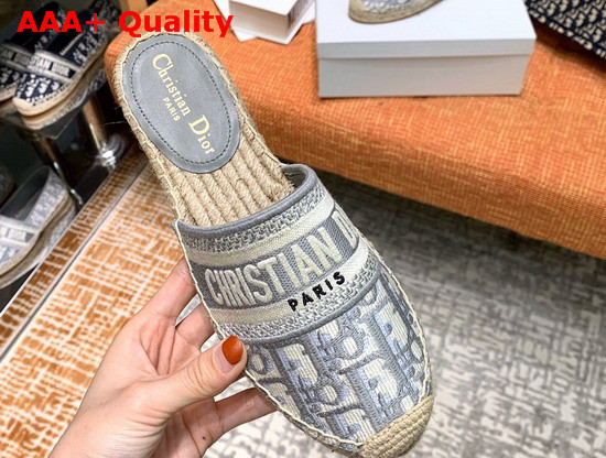 Dior Granville Mule Grey Dior Oblique Embroidered Cotton Mule Replica