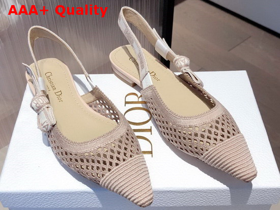 Dior J Adior Slingback Ballerina Flat Nude Mesh Embroidery Replica