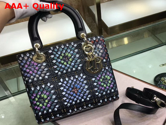 Dior Lady Dior Bag in Heat Embossed Calfskin with Hand Painting Replica