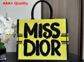 Dior Large Dior Book Tote Two Tone Green and Blue Miss Dior Graffiti Embroidery Replica