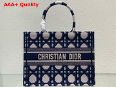 Dior Medium Dior Book Tote Beige and Blue Macrocannage Embroidery Replica