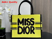 Dior Medium Dior Book Tote Two Tone Green and Blue Miss Dior Graffiti Embroidery Replica