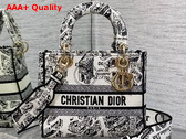 Dior Medium Lady D Lite Bag White and Black Plan de Paris Embroidery Replica