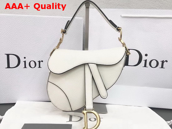 Dior Mini Saddle Bag in Off White Embossed Grained Calfskin Replica