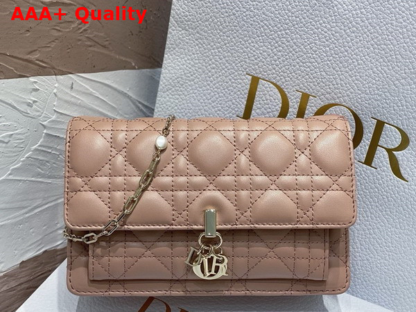 Dior Miss Dior Chain Pouch in Nude Cannage Lambskin Replica