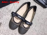 Dior Miss J Adior Mesh Ballet Pump Replica