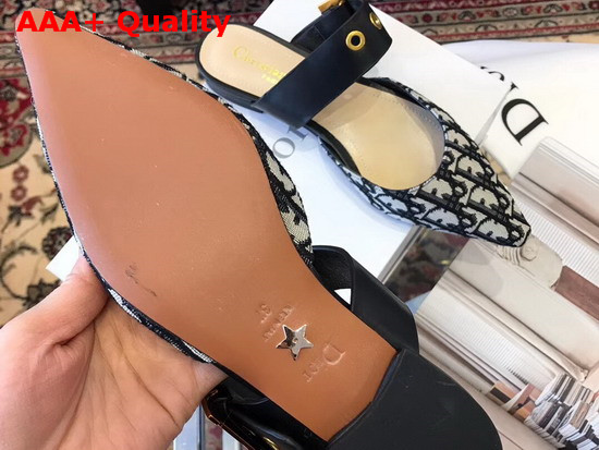 Dior Oblique D Dior Mule Replica