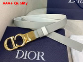 Dior Reversible Saddle Belt Grey and White Smooth Calfskin 20mm Replica