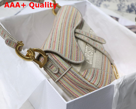 Dior Saddle Bag Multicolor Stripes Embroidery Replica