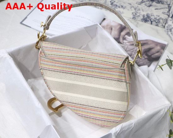 Dior Saddle Bag Multicolor Stripes Embroidery Replica