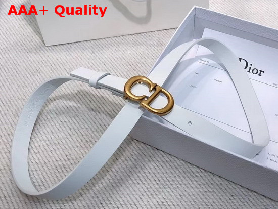 Dior Saddle Calfskin Belt in White Replica