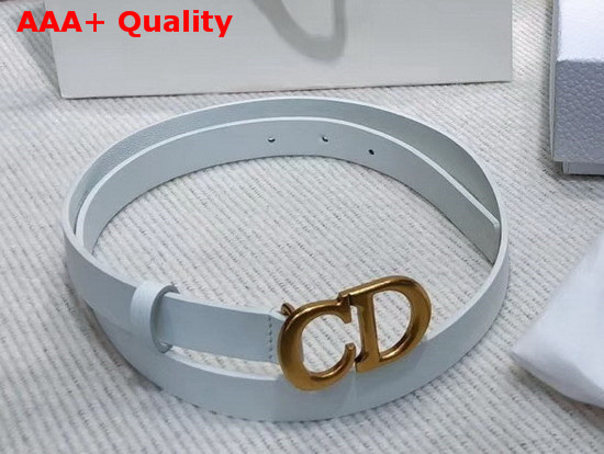 Dior Saddle Calfskin Belt in White Replica