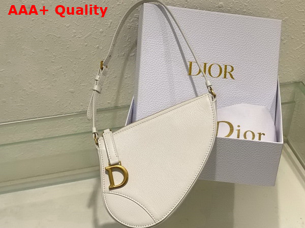 Dior Saddle Shoulder Pouch Latte Goatskin Replica