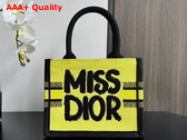 Dior Small Dior Book Tote Two Tone Green and Blue Miss Dior Graffiti Embroidery Replica