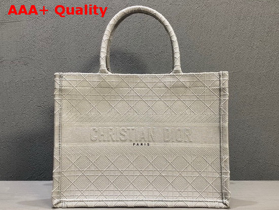 Dior Small Dior Book Tote in Gray Cannage Embroidery Replica