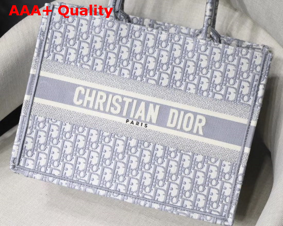 Dior Small Gray Dior Book Tote with Dior Oblique Embroidery Replica