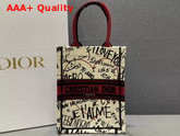 Dior Vertical Dior Book Tote with Dioramour Graffiti Latte Multicolor Dioramour Graffiti Embroidery Replica